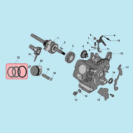 Картер и коленвал Champion ST246